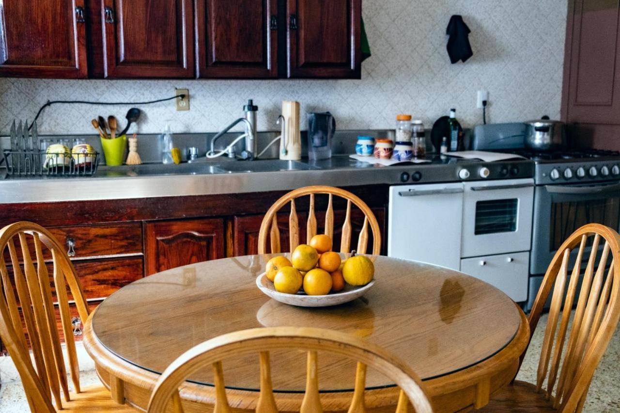 מלון קרטרו Margaritas Eco Haus מראה חיצוני תמונה